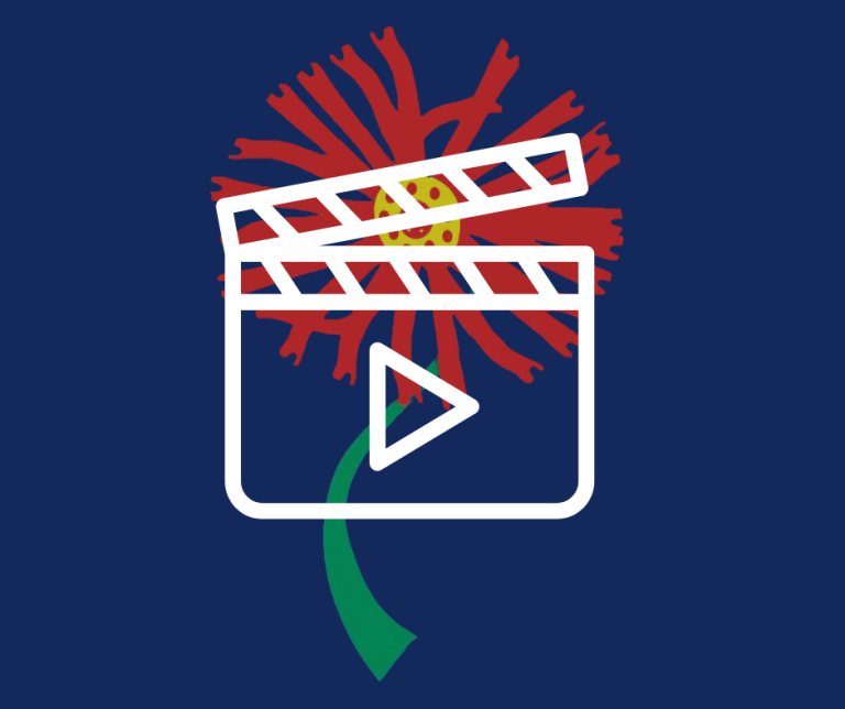 Illegal Moves – Sepedi